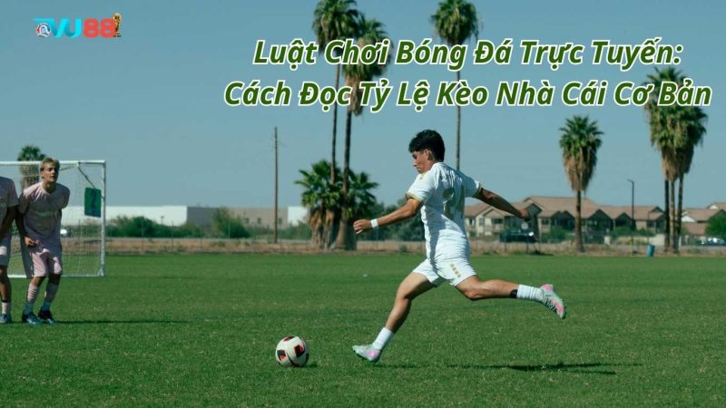 Luật Chơi Bóng Đá Trực Tuyến: Cách Đọc Tỷ Lệ Kèo Nhà Cái Cơ Bản